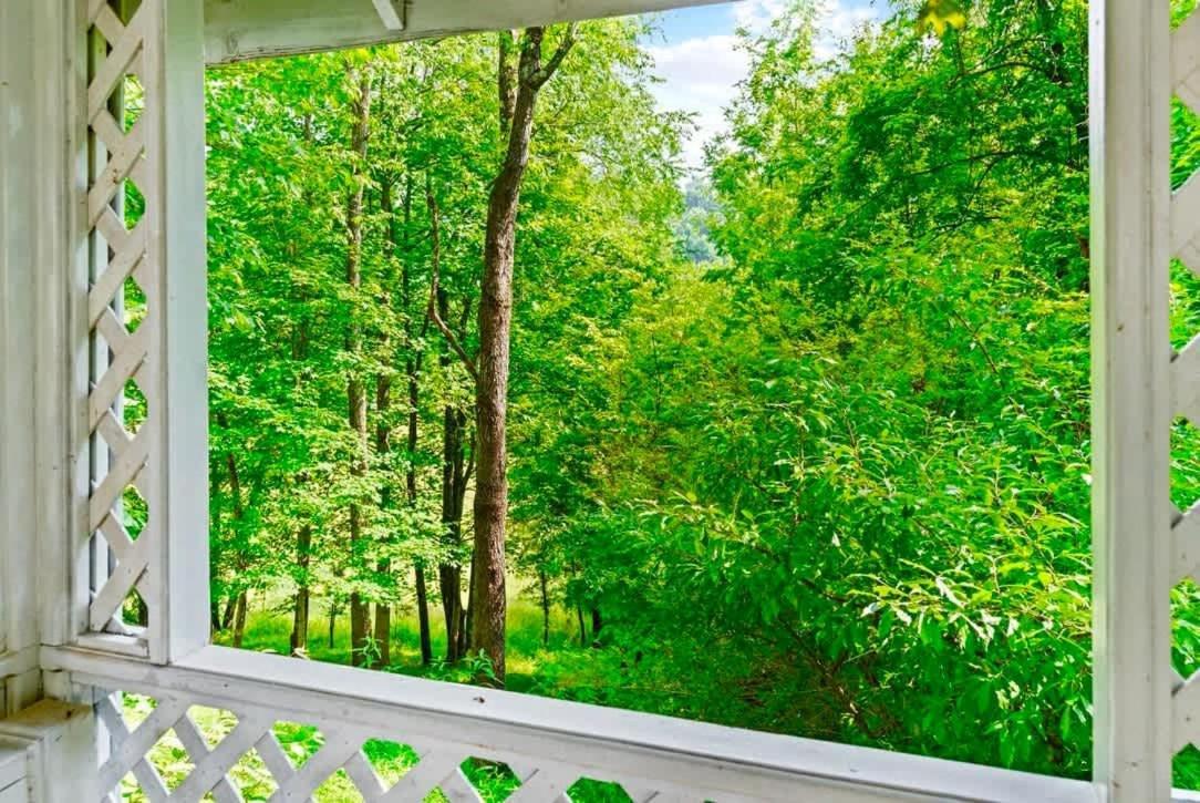فيلا Gated Mansion - Basketball Court Movie Theater Views Big Stone Gap المظهر الخارجي الصورة